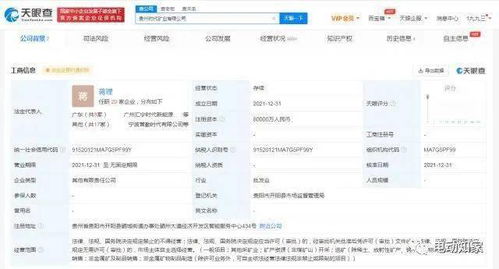 寧德時代成立礦業(yè)公司，新材料技術(shù)推廣服務(wù)助力產(chǎn)業(yè)升級